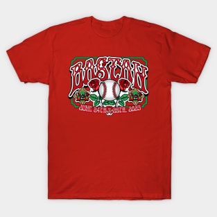 Boston Jam Band Ballpark Concert Tribute T-Shirt